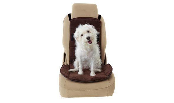 Coco in Car Seat Protector