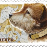 Postal Puppy