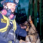 Saluting the Dogs of 9/11
